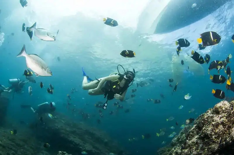 Professional Scuba Diving in Puerto Vallarta best reefs